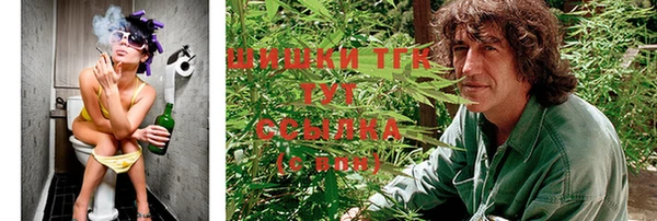 PSILOCYBIN Надым