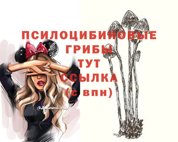 мяу мяу кристалл Алексин