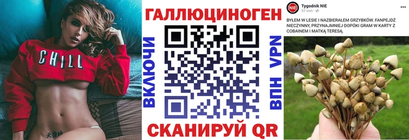 Псилоцибиновые грибы Cubensis  Миньяр 
